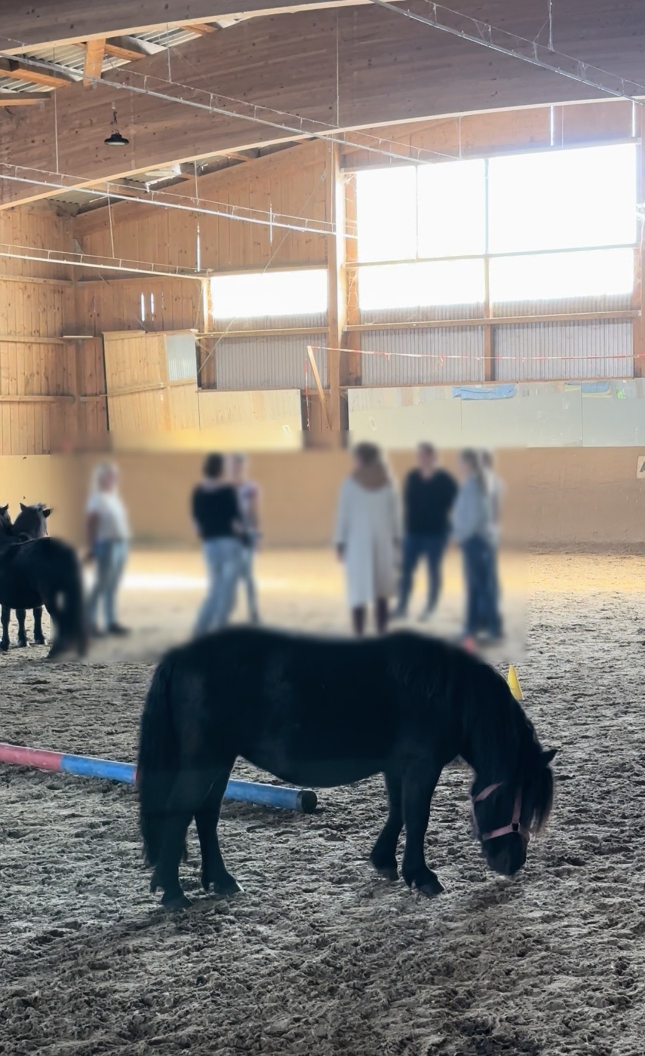 Teamworkshop in der Reithalle — Gruppe im Gespräch, Ponys frei dabei